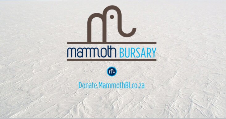 Donate to Mammoth Bursary crowd fund